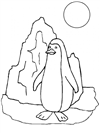 penguenler-68