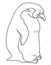 penguenler-41