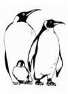 penguenler-70