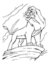 aslan-kral-33