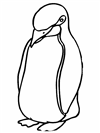 penguenler-12