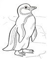 penguenler-1