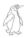 penguenler-52