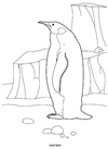 penguenler-67