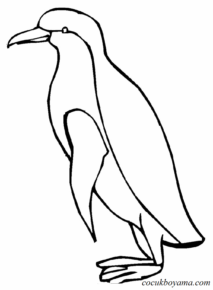 penguenler-13
