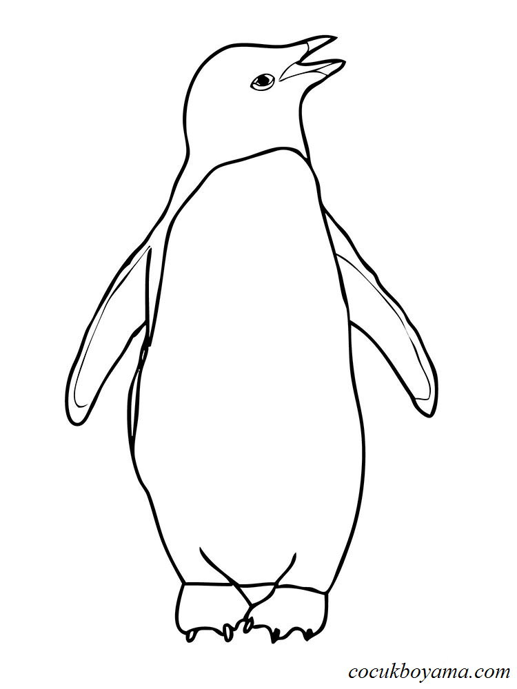 penguenler-49