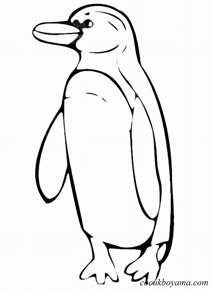 penguenler-36