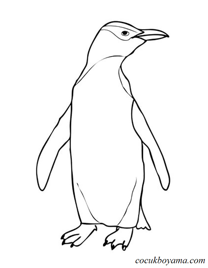penguenler-8