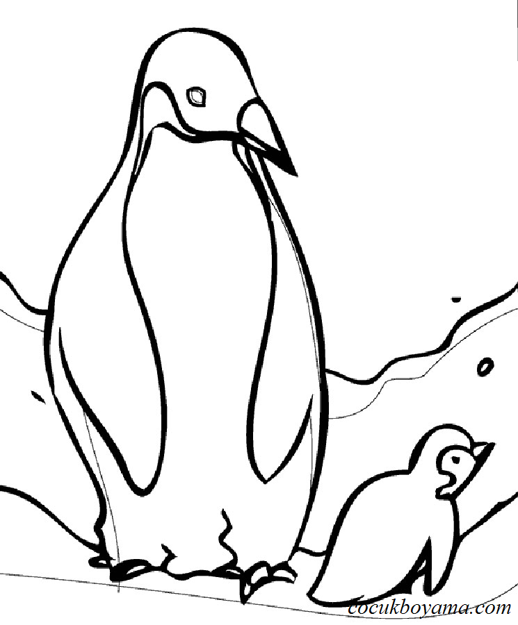 penguenler-28