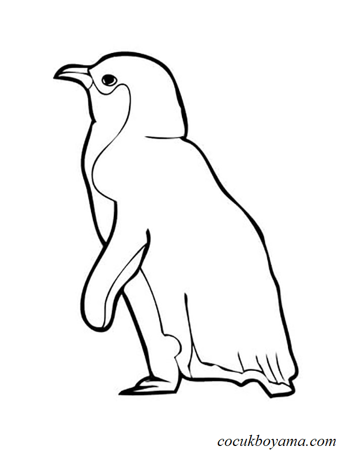 penguenler-40