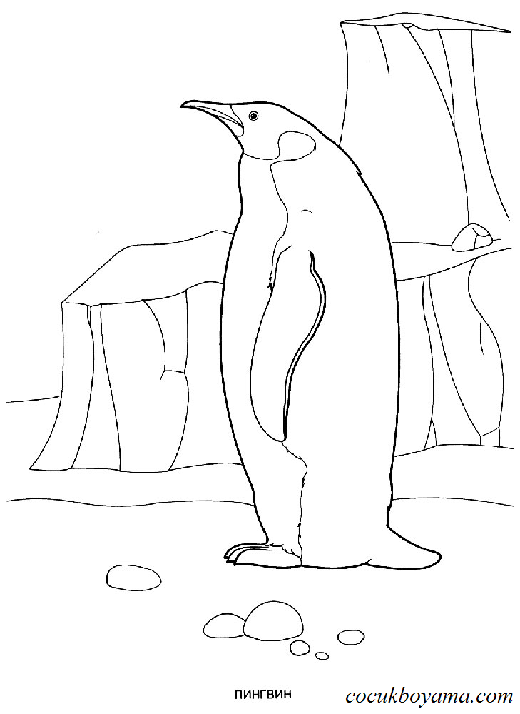 penguenler-67